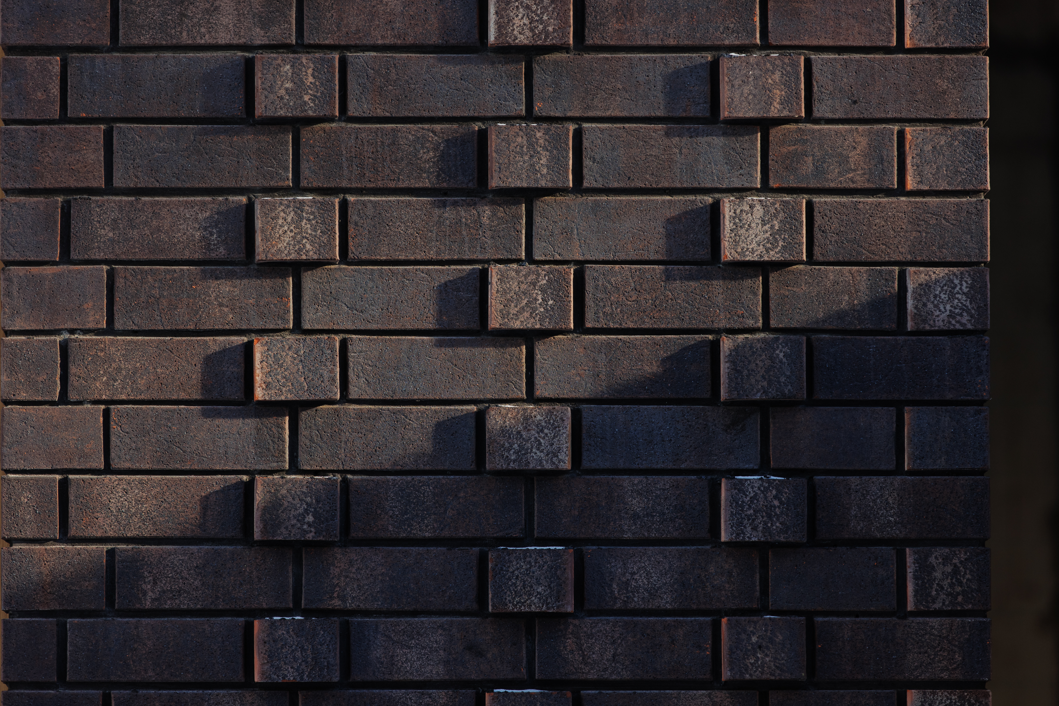 Февраль, 2026